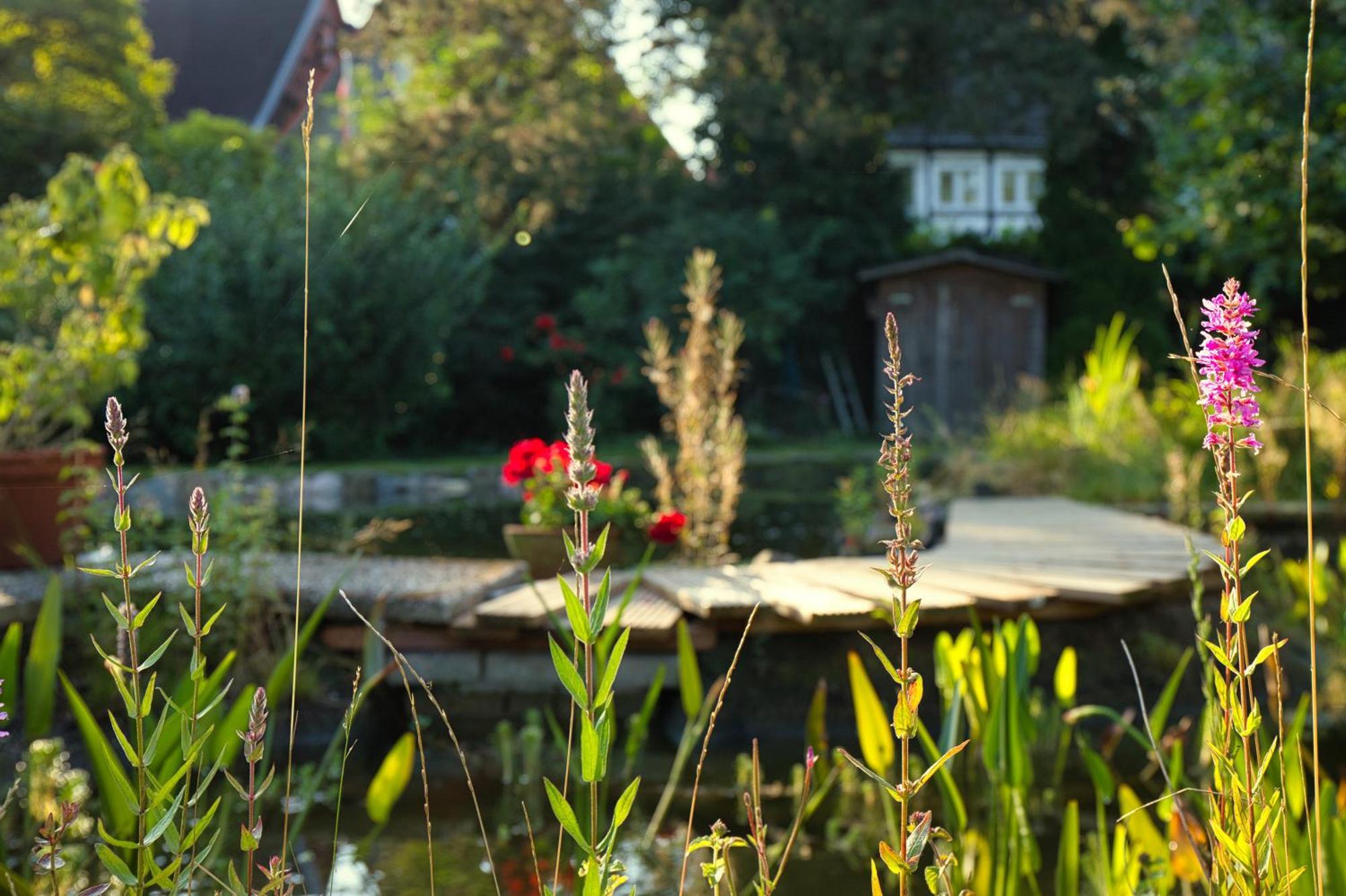 Gasthaus Benke, Fachwerkhaus In Westfalen Datteln Dış mekan fotoğraf